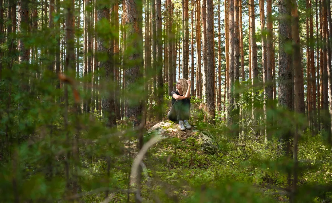 Forest Bathing Meets Celtic Tree Wisdom: A Guide to Deep Tree Connection